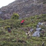Pencarian Pendaki Hilang di Gunung Binaiya Disetop, Pendakian Ditutup Sementara
