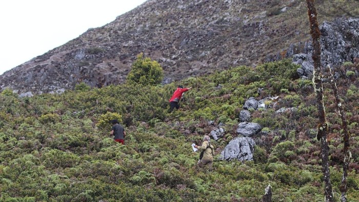 Pencarian Pendaki Hilang di Gunung Binaiya Disetop, Pendakian Ditutup Sementara